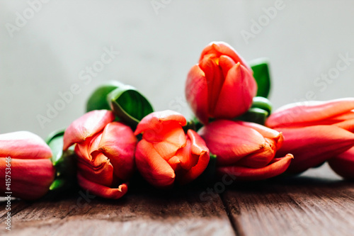 Pink spring tulips on a background of brown boards. Place for text.