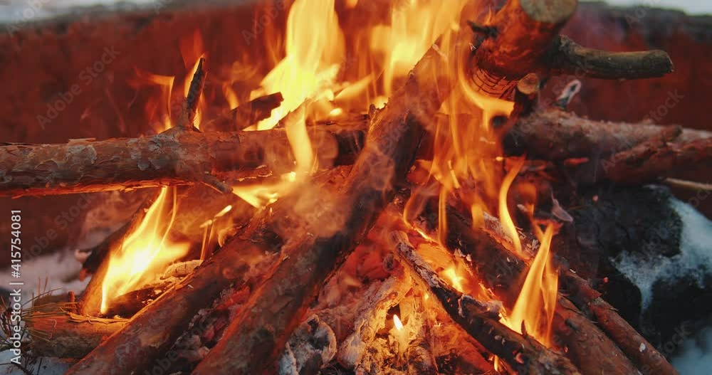 Bonfire in the winter forest in slow-motion Bonfire in the winter forest in slow-motion