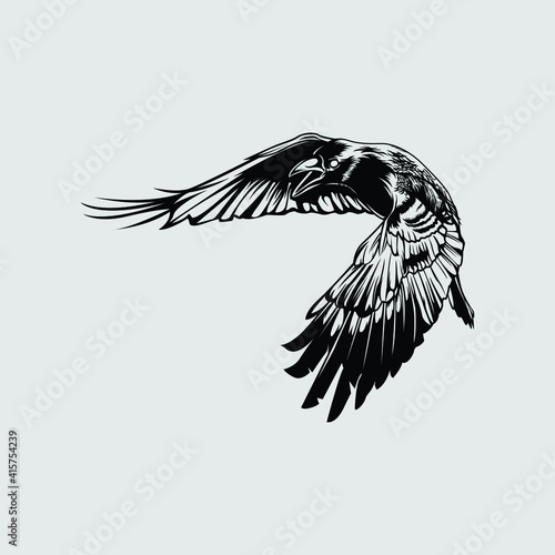 Flying black crow vector illustration