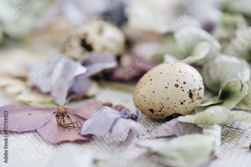 quail eggs among dried flowers and leaves. close-up