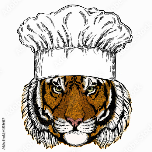 Vector tiger portrait. Animal head. Chef cook hat. Restaurant logo.