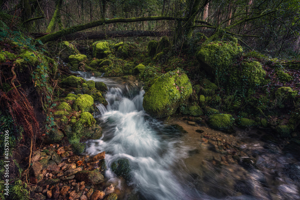 RIVER AND LOG