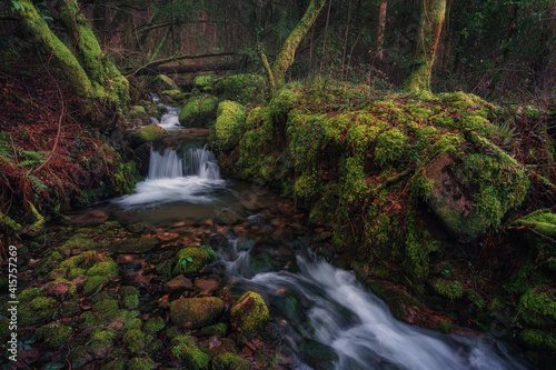 WATERFALL AND LOGS