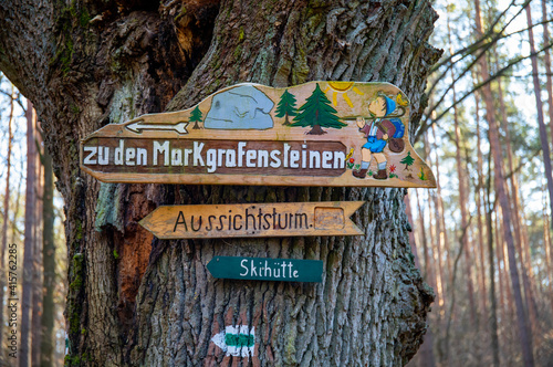 Old weathered sign on a tree trunk in the forest. photo