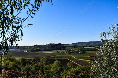vineyard in france, digital photo picture as a background photo