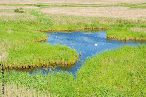 View of The Sikosaari nature reserve area, Porvoo, Finland