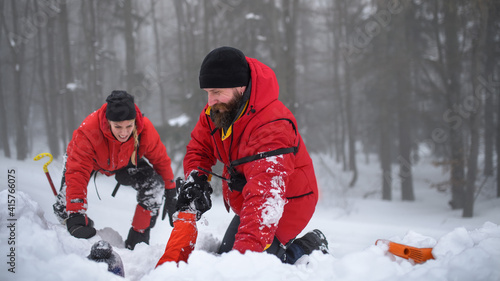 Fotografie Mountain rescue service on successful operation outdoors in winter in forest, snow and avalanche concept