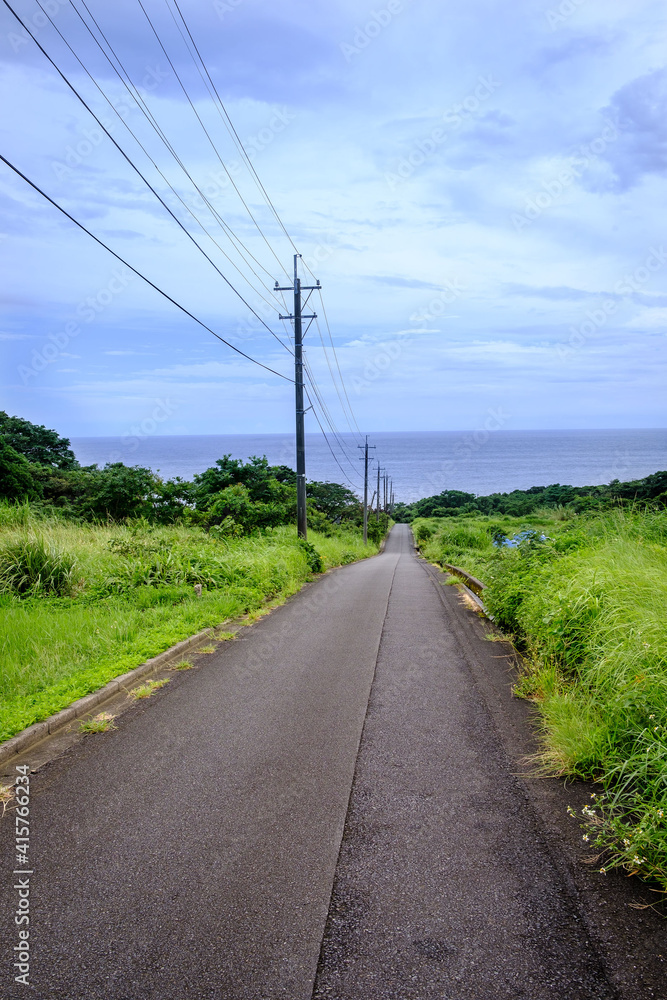 屋久島の道と海
