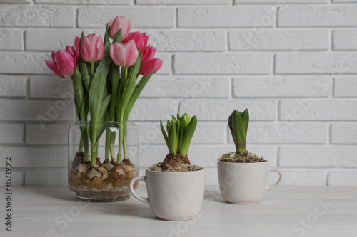 Potted hyacinth flowers and tulips with bulbs on white wooden table