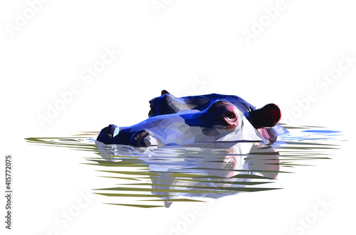Geometrical illustration of a hippo head submerged in water
