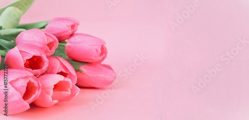Bouquet of tulips wrapped in craft paper on pink background with space for text. Greeting card. Concept woman's or mother's day. Spring flowers background. Banner