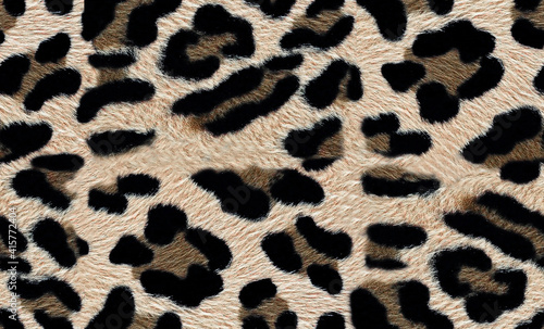 Seamless leopard texture, leopard fur