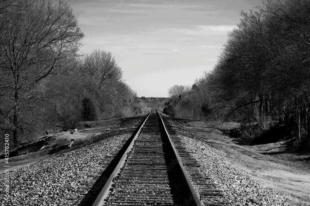Fototapeta premium Artistic Railroad Tracks