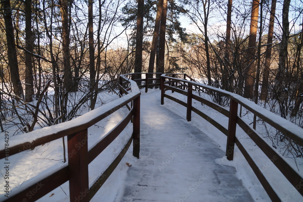 path in winter