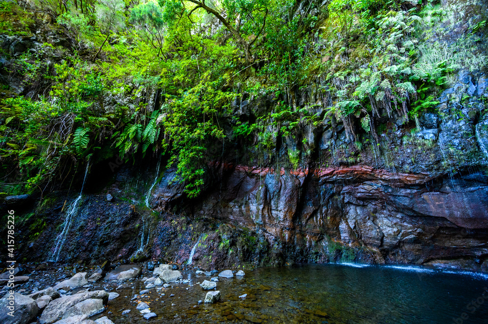 25 Fontes Waterfall - Hiking Levada trail in Laurel forest at Rabacal - Path to the famous Twenty-Five Fountains in beautiful landscape scenery - Madeira Island, Portugal