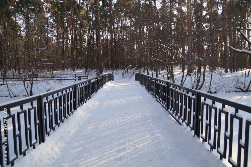 bridges in the snow park