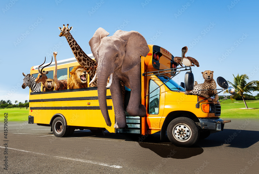 Fototapeta premium Zoo in the school bus concept with animals looking out of the windows, Elephant giraffe cheetah and others