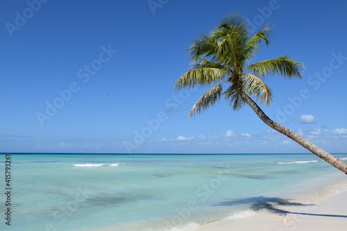 Fototapeta Naklejka Na Ścianę i Meble -  Playa en el Mar Caribe. Punta Cana. Isla Saona