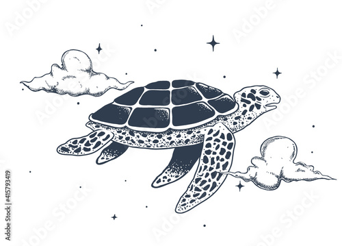 flying turtle in the sky