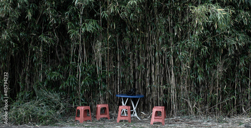 Obraz na płótnie bamboos