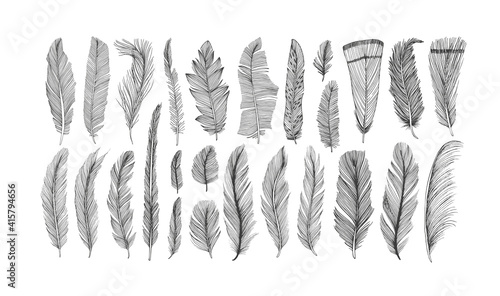 Hand drawn black fluffy feathers. Vector black and white ink sketch illustration. Ethnic boho style hand drawing. Realistic feathers collection. Elegant silhouette sketch bird plume set