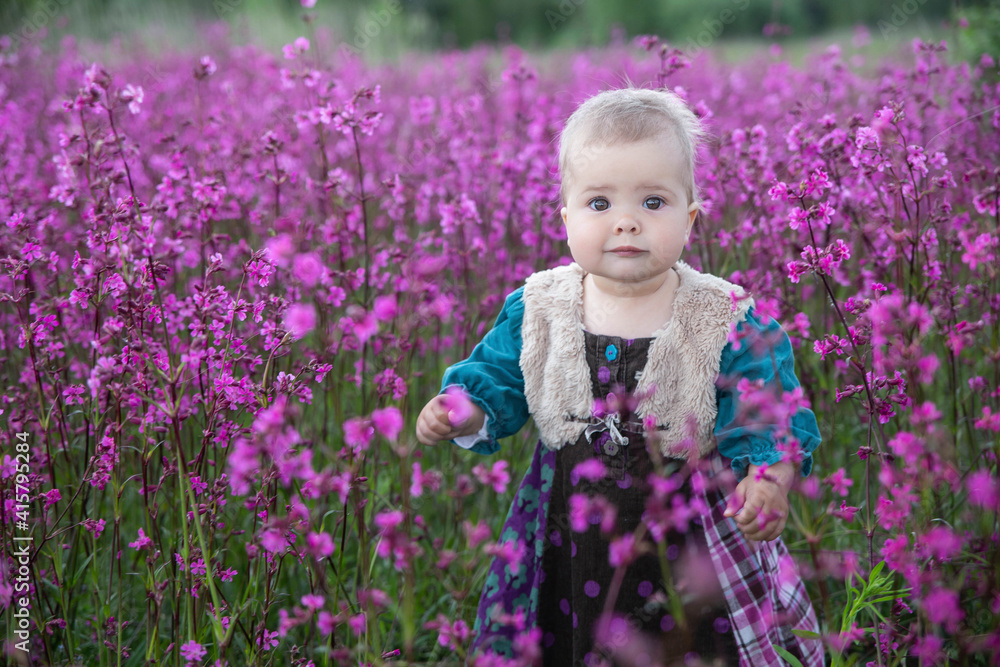 blond baby in a colored dress standing in a field with purple flowers blond baby in a colored dress standing in a field with purple flowers