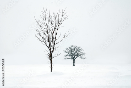 Canvastavla Winter scene with two barren trees in the snow
