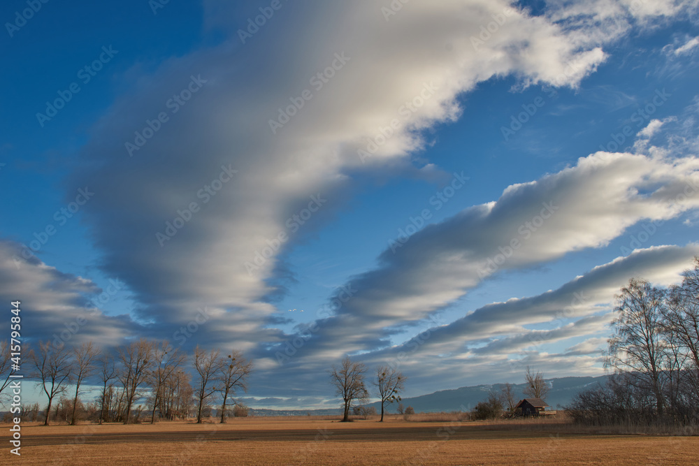 Imposing play of clouds over meadows and trees Imposing play of clouds over meadows and trees