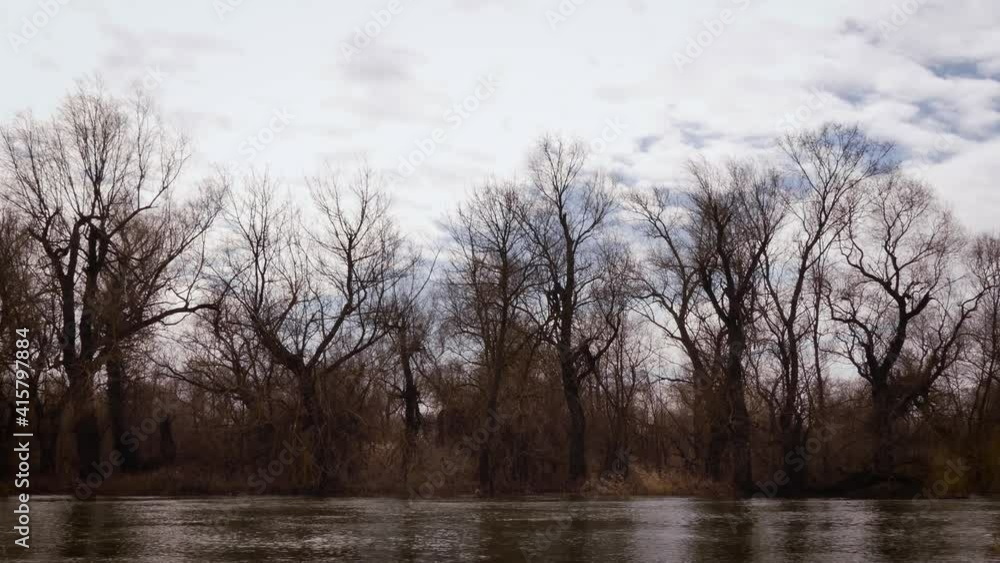 Early spring in the Dniester delta. Odessa region (Ukraine)
Early spring in the Dniester delta. Odessa region (Ukraine)