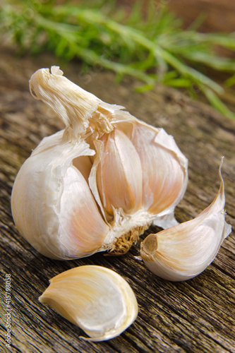 Garlic plant in detail
