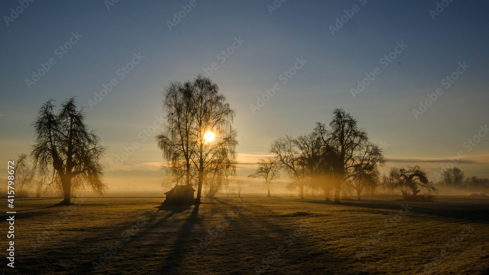 Bäume mit Hütte in der Morgensonne bei Bodennebel Bäume mit Hütte in der Morgensonne bei Bodennebel