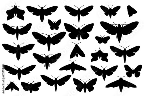 Moth black silhouettes. Basis graphics on white background