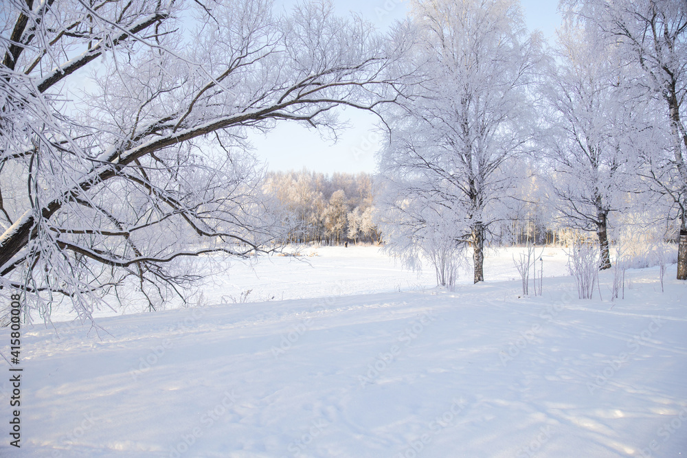 Snowy sunny day in the park
