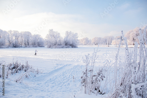 Snowy sunny day in the park