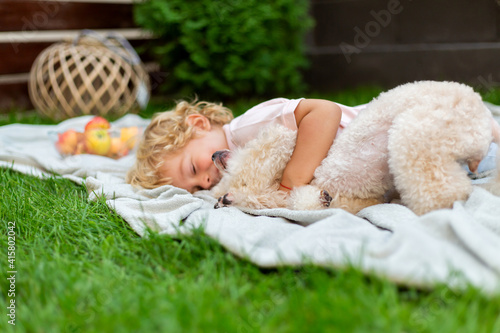 Happy child, playing with the poodle dog. Green grass in the yard of his house.