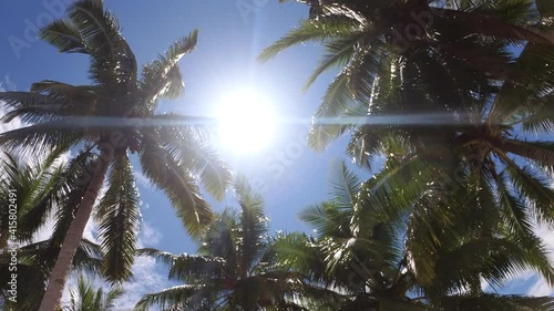 Palm Trees and Bright Sun In Blue Sky In Kaimana Island, Raja Ampat. Wide Angle Nature With Picturesque View On Green Tropical Leaves At Resort In Papua, Indonesia. photo