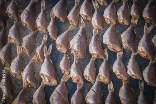 The fish is dried in the sun to make salted fish. At Ban Bang Saray fishing port, Thailand