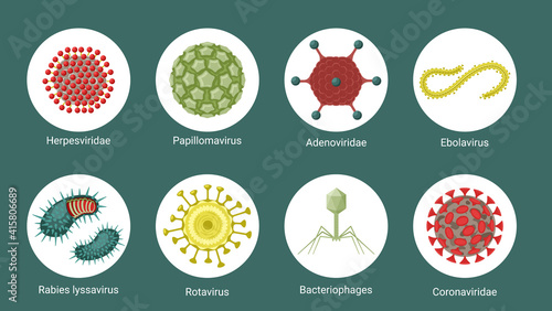 Virus structure under microscope set. Red molecules herpes virus green polygons of papillomavirus yellow wriggling ebola with numerous coronovirus legs spider like bacteriophage. Microbial vector.