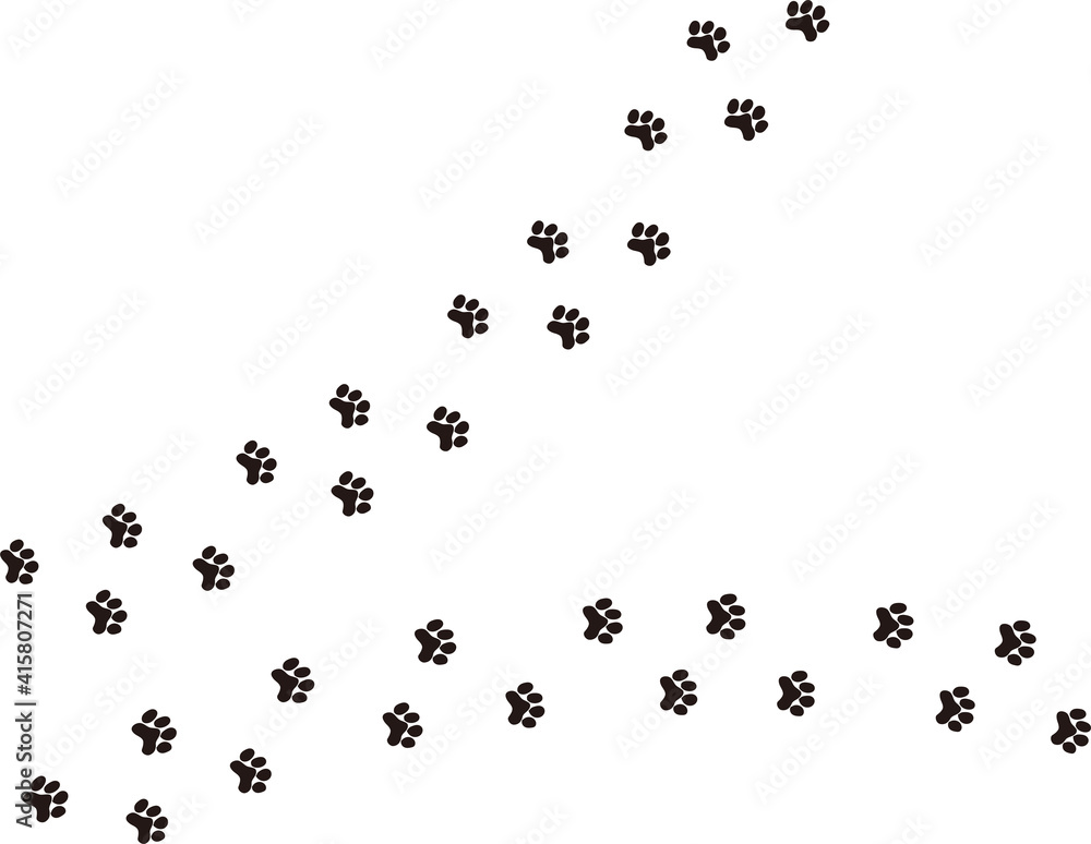 猫やトラの足跡 肉球のモノクロイラスト Stock Illustration Adobe Stock