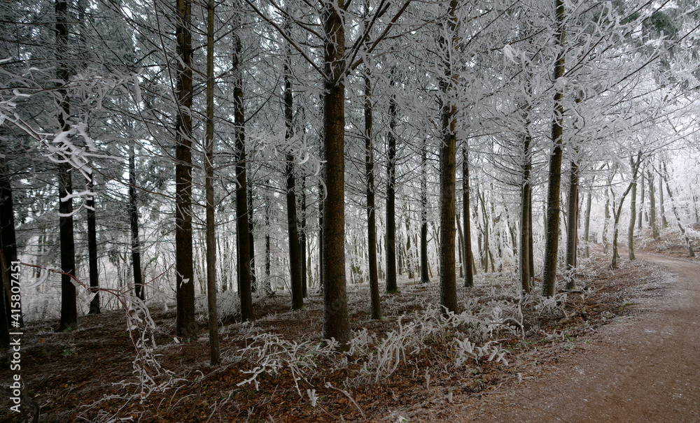 Winter in Perchtoldsdorf - Wienerwald - Niederösterreich