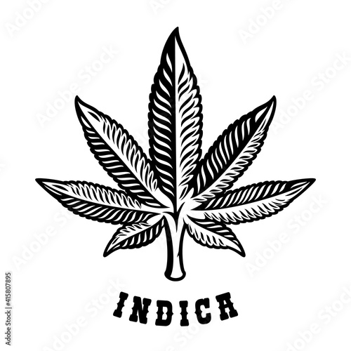 Black and white illustration of a cannabis leaf Indica on the white background.