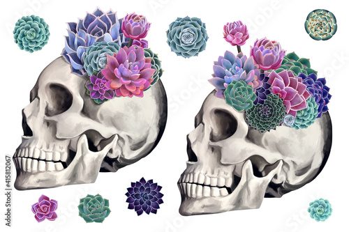Fototapeta Naklejka Na Ścianę i Meble -  Human floral skull and succulents set. Day of the Dead clip art on white background