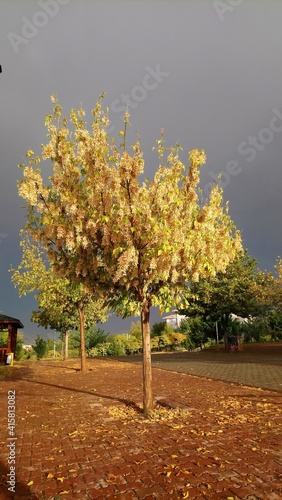 Autumn season in Turkey