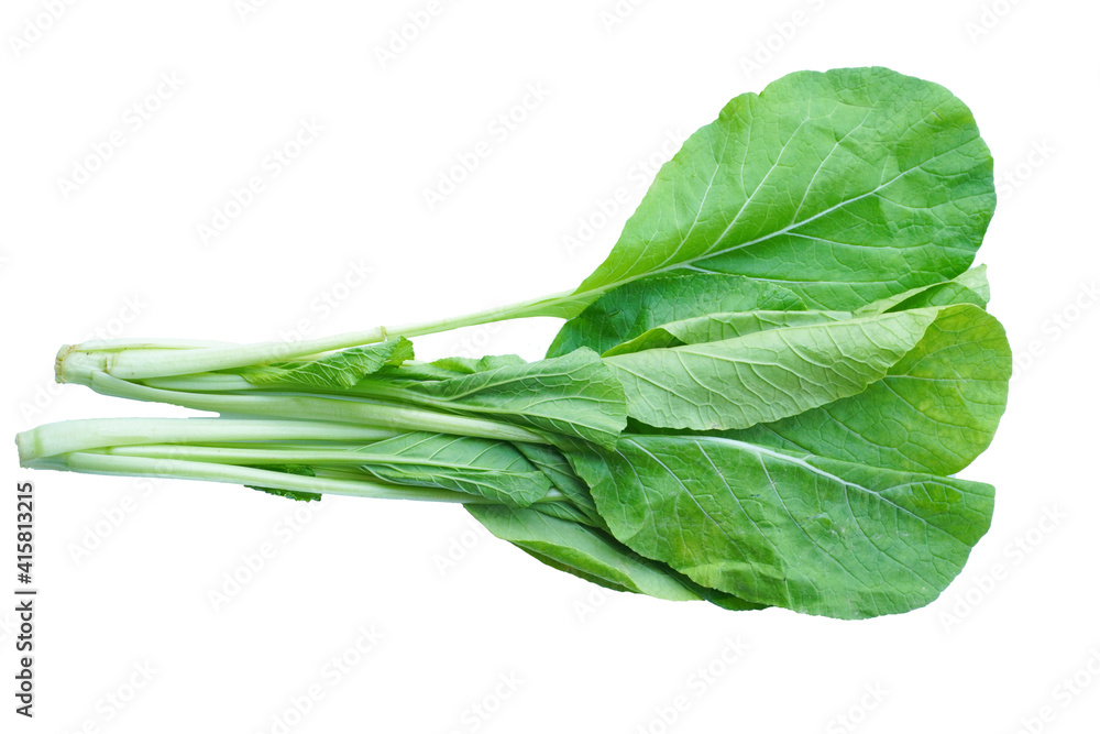 Green mustard isolated on white background. Green mustard isolated on white background.