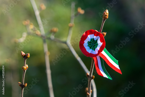 Fototapet tricolor rosette on spring tree with bud symbol of the hungarian national day 15