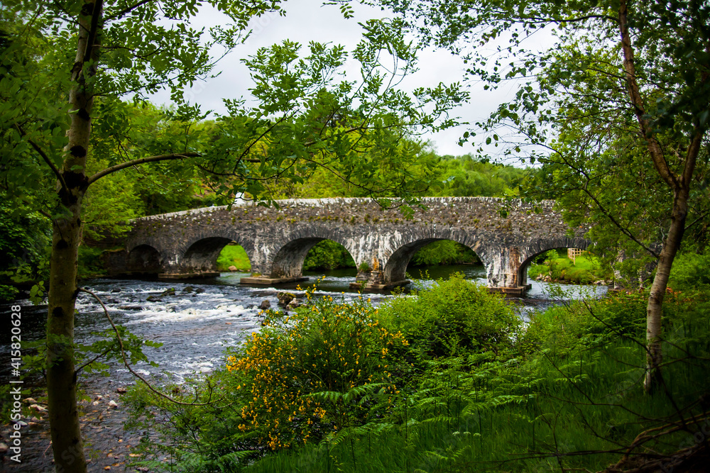 Fototapeta premium Spring landscape in the forests of Ireland