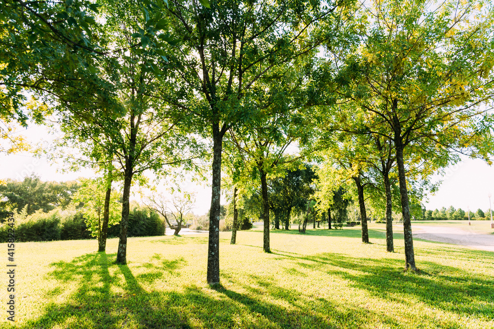 Obraz premium haz de luz