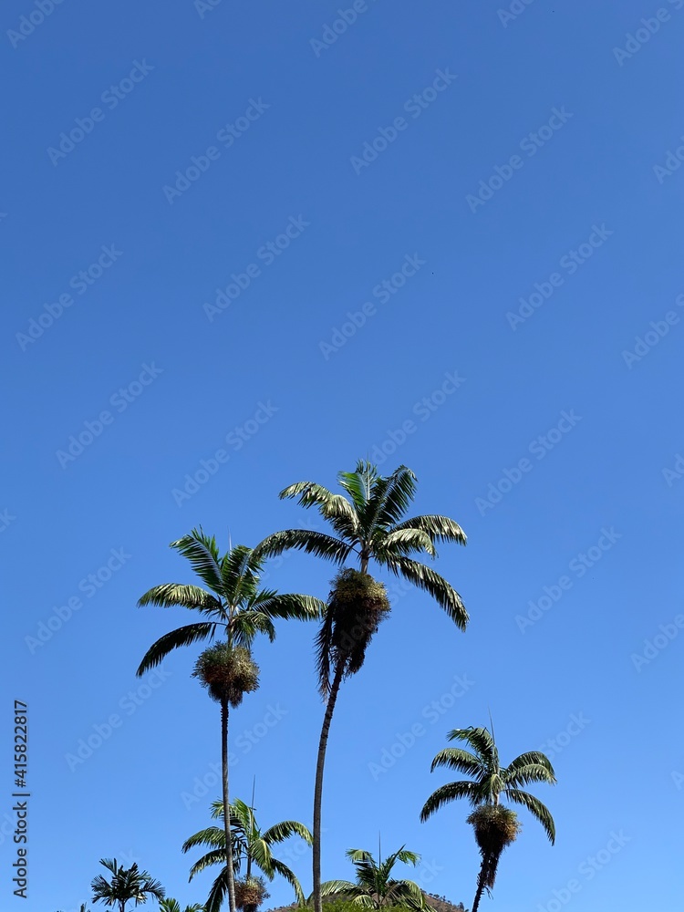 Cielo azul como debe ser.
Cielo azul como debe ser.