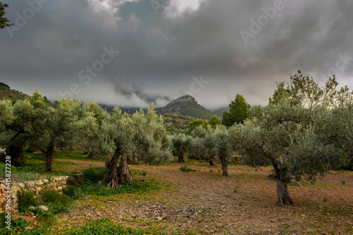 A beautiful landscape view of Dei   in Mallorca Island Balearic Spain at the area called Sa Foradada on a winter day 