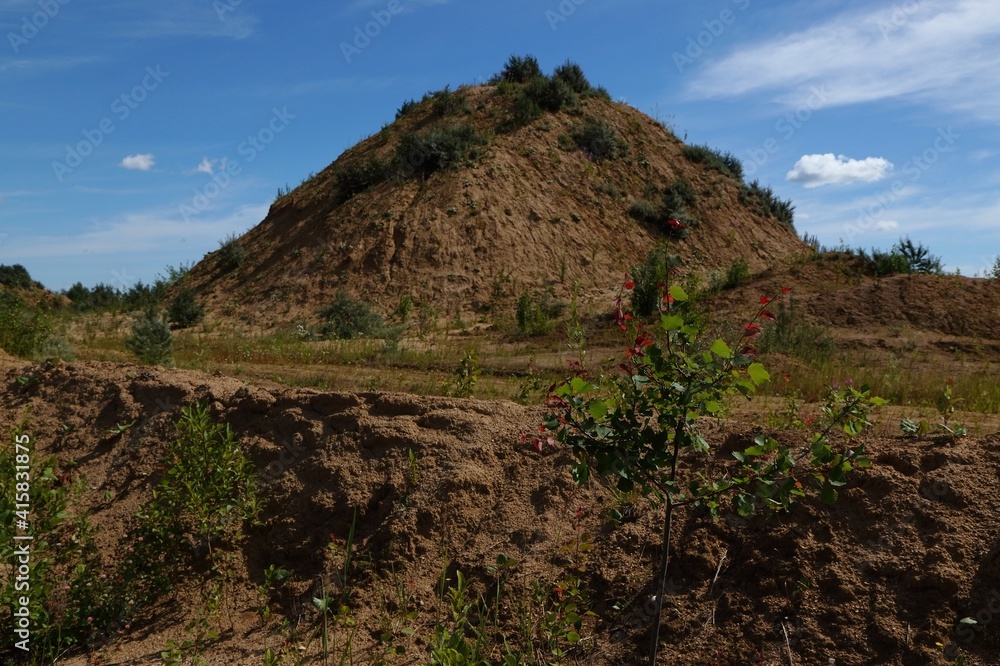 Sand quarries in the village of Sychevo, Volokolamsk district, Moscow region